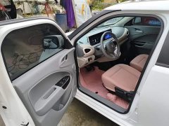 Ora White Cat Upgrade 305km Luxury Trim Ternary Lithium Battery - ფოტო 15