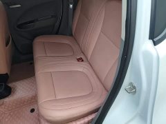 Ora White Cat Upgrade 305km Luxury Trim Ternary Lithium Battery - ფოტო 16