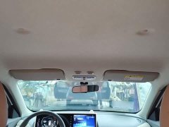 Ora White Cat Upgrade 305km Luxury Trim Ternary Lithium Battery - ფოტო 17