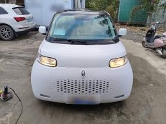 Ora White Cat Upgrade 305km Luxury Trim Ternary Lithium Battery - ფოტო 2
