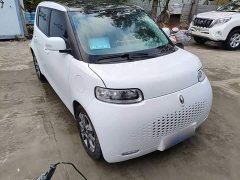 Ora White Cat Upgrade 305km Luxury Trim Ternary Lithium Battery - ფოტო 3