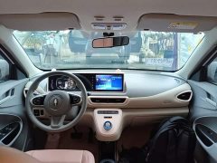Ora White Cat Upgrade 305km Luxury Trim Ternary Lithium Battery - ფოტო 9