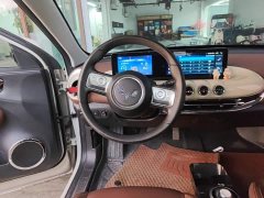 Wuling Binguo 203km Comfort Edition - ფოტო 10