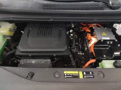 GAC Aion E9 MAX - ფოტო 18