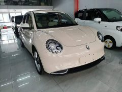 ORA Good Cat 400km Standard Range Venus Edition Ternary Lithium Battery - photo 3