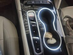 Buick Regal 552T Elite - фото 13