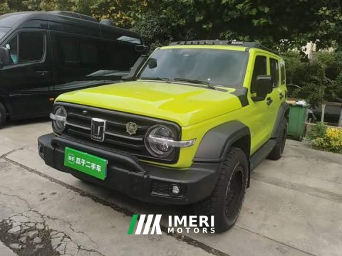 2021 Tank 300 Off-Road Edition 2.0T Conqueror - ავტომობილი ჩინეთიდან