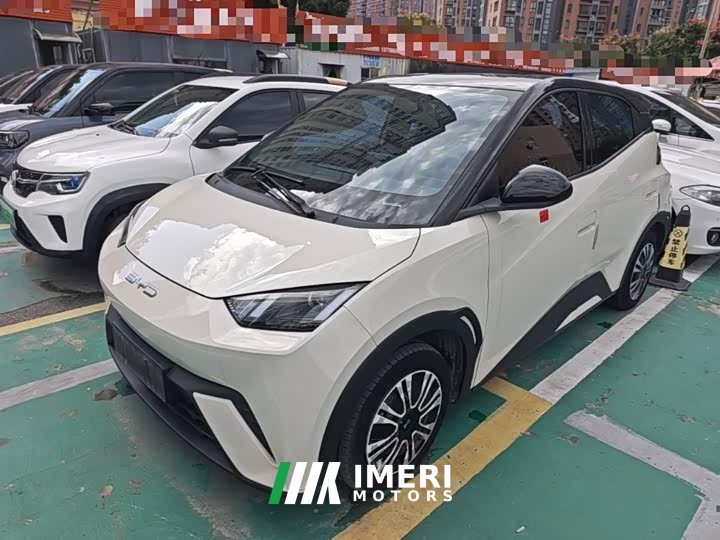 BYD Seagull Vitality Edition - ავტომობილი ჩინეთიდან