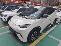 BYD Seagull Vitality Edition - ფოტო 1