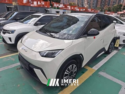 2024 BYD Seagull Vitality Edition - ავტომობილი ჩინეთიდან