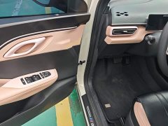 BYD Seagull Vitality Edition - ფოტო 15