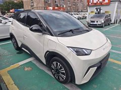 BYD Seagull Vitality Edition - ფოტო 3
