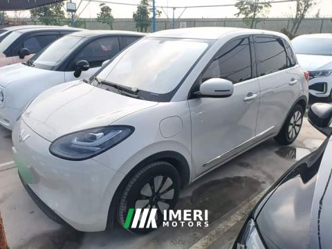 2024 Wuling Binguo 333km Joy Edition