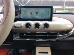 Wuling Binguo 333km Joy Edition - ფოტო 12