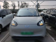 Wuling Binguo 333km Joy Edition - ფოტო 2