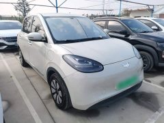 Wuling Binguo 333km Joy Edition - ფოტო 3
