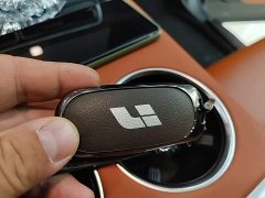Li Auto L8 Pro - ფოტო 8