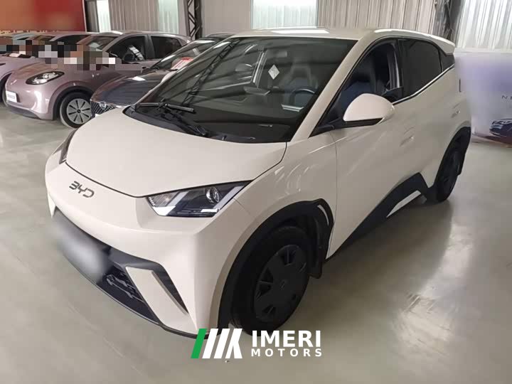 BYD Seagull 305km Vitality Edition - ავტომობილი ჩინეთიდან
