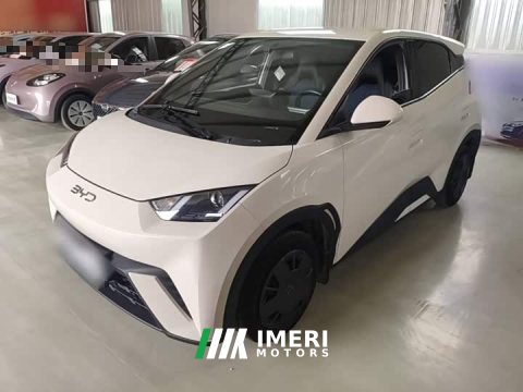 2025 BYD Seagull 305km Vitality Edition - ავტომობილი ჩინეთიდან