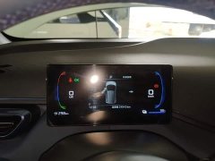 BYD Seagull 305km Vitality Edition - ფოტო 11