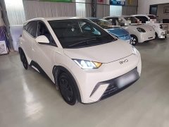 BYD Seagull 305km Vitality Edition - ფოტო 3