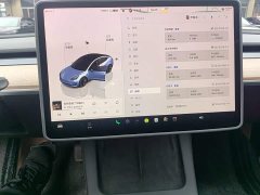 Tesla Model 3 Rear-Wheel Drive - photo 12