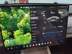 Nio Lerado L60 60kWh Rear-Wheel Drive - фото 11