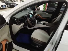 BYD Song Pro New Energy DM-i 51km Premium - фото 14