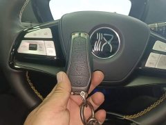 BYD DM-p Edition - ფოტო 8