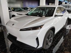 Dongfeng SKY EV01 530km AIR Elite Edition - photo 1