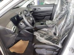 Dongfeng SKY EV01 530km AIR Elite Edition - photo 14