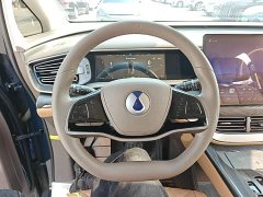 Denza D9 DM-i 1040 Premium - ფოტო 10