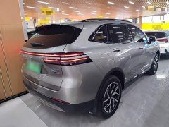 Great Wall DHT-PHEV 1.5T AWD - photo 6