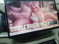 BYD Song Plus New Energy DM-i Intelligent Driving 112KM Premium - photo 12