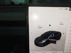 Tesla Model 3 Rear-Wheel Drive - ფოტო 13