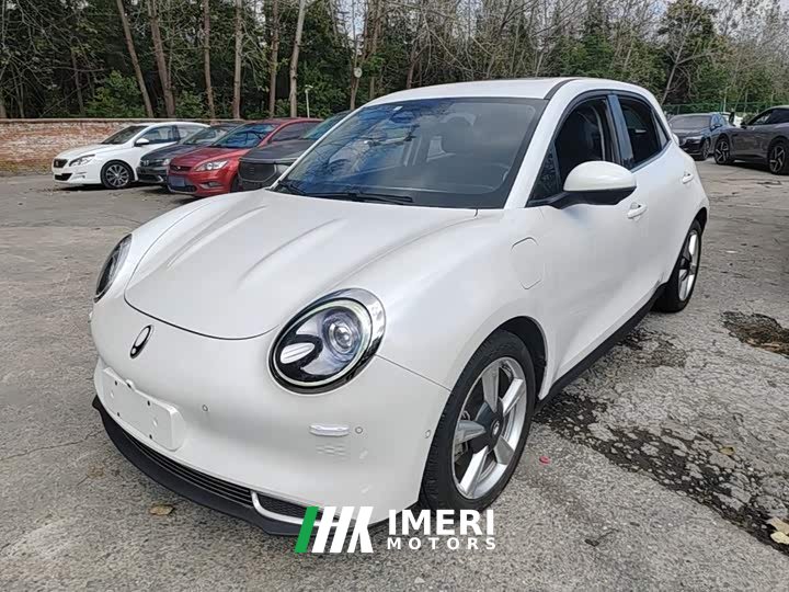 Ora Good Cat 500km Long Range Poseidon Edition Ternary Lithium Battery - car from China