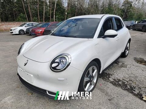 2022 Ora Good Cat 500km Long Range Poseidon Edition Ternary Lithium Battery - ავტომობილი ჩინეთიდან