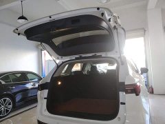 Ford Lingrui EcoBoost 170 Platinum Edition - ფოტო 18