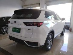 Ford Lingrui EcoBoost 170 Platinum Edition - ფოტო 6