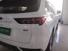 Ford Lingrui EcoBoost 170 Platinum Edition - ფოტო 7