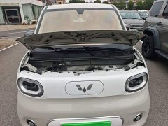 Wuling Hongguang MINIEV Third Generation 215km Youth Edition - photo 19