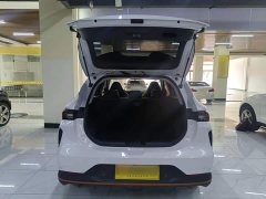 Dongfeng Fengxing Thunder 430 Pro - ფოტო 18