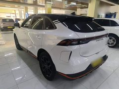 Dongfeng Fengxing Thunder 430 Pro - ფოტო 4