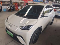 BYD Seagull Glory Edition 305km Freedom Version - ფოტო 1