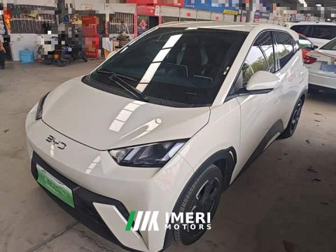 2024 BYD Seagull Glory Edition 305km Freedom Version