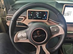 BYD Seagull Glory Edition 305km Freedom Version - ფოტო 10