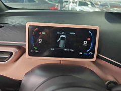 BYD Seagull Glory Edition 305km Freedom Version - ფოტო 11