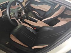 BYD Seagull Glory Edition 305km Freedom Version - ფოტო 14