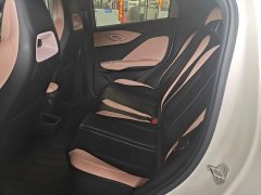 BYD Seagull Glory Edition 305km Freedom Version - ფოტო 16