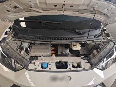 BYD Seagull Glory Edition 305km Freedom Version - ფოტო 19